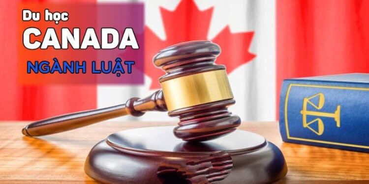 Du học Canada ngành luật