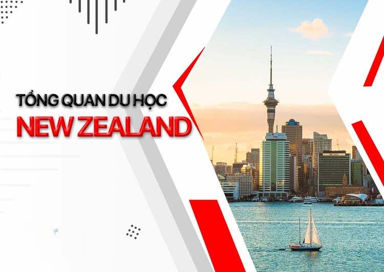 Du học New Zealand 2024: Các điều kiện, chi phí và học bổng
