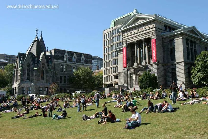 MCGILL UNIVERSITY