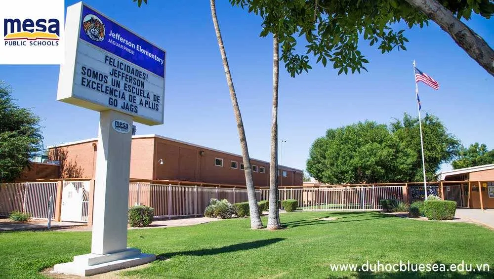 Mesa Public schools