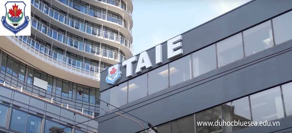 TAIE INTERNATIONAL INSTITUTE