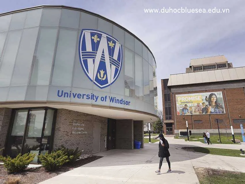 UNIVERSITY OF WINDSOR