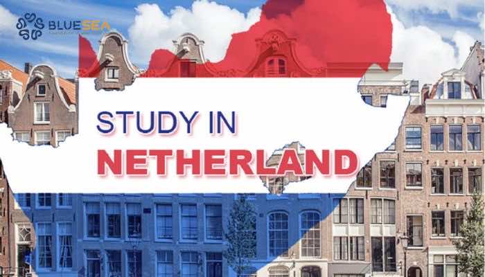 Du học ngành du lịch tại Hà Lan