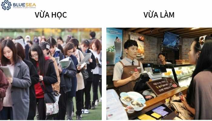 Cách cân bằng khi du học Hàn Quốc vừa học vừa làm