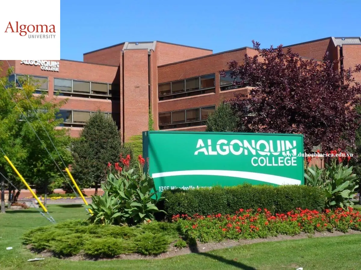 ALGONQUIN COLLEGE