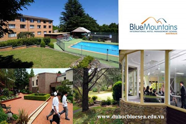  Blue Mountains International Hotel Management School (BMIHMS)