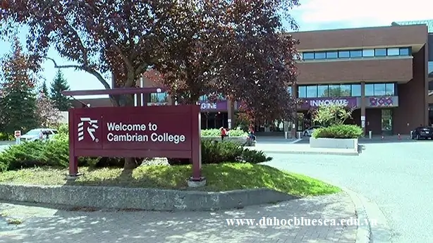 CAMBRIAN HANSON COLLEGE