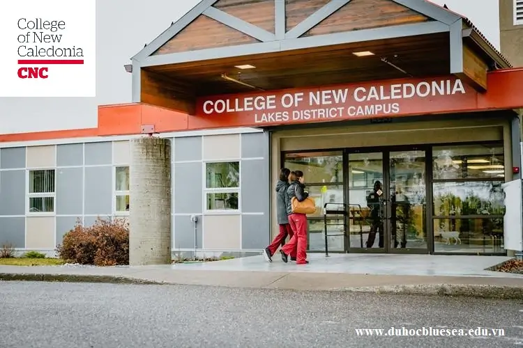 COLLEGE OF NEW CALEDONIA