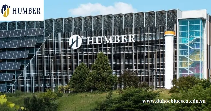 HUMBER COLLEGE