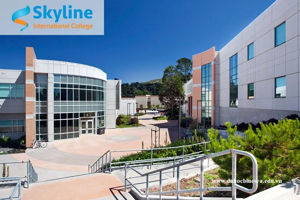 SKYLINE INTERNATIONAL COLLEGE