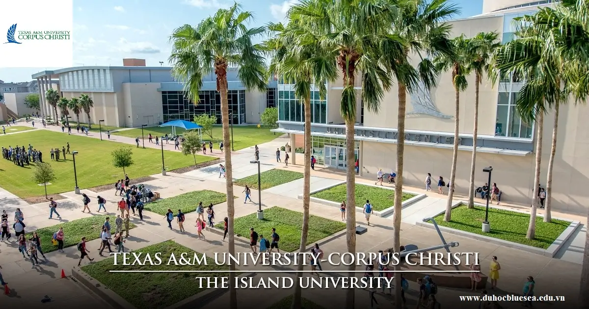 Texas A&M University – Corpus Christi