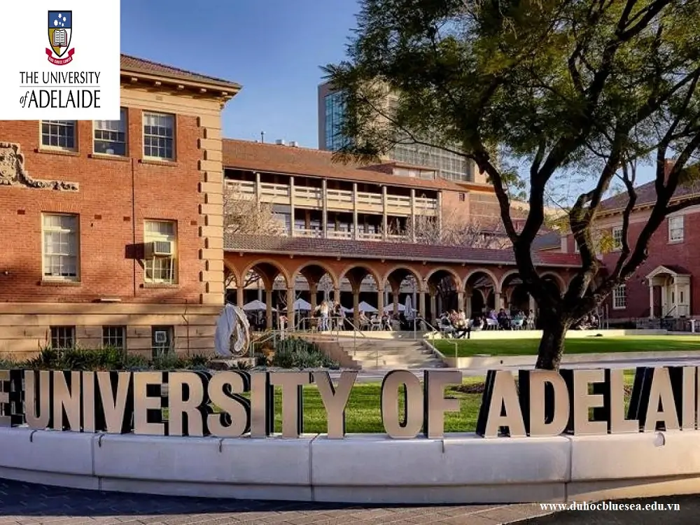 The University of Adelaide