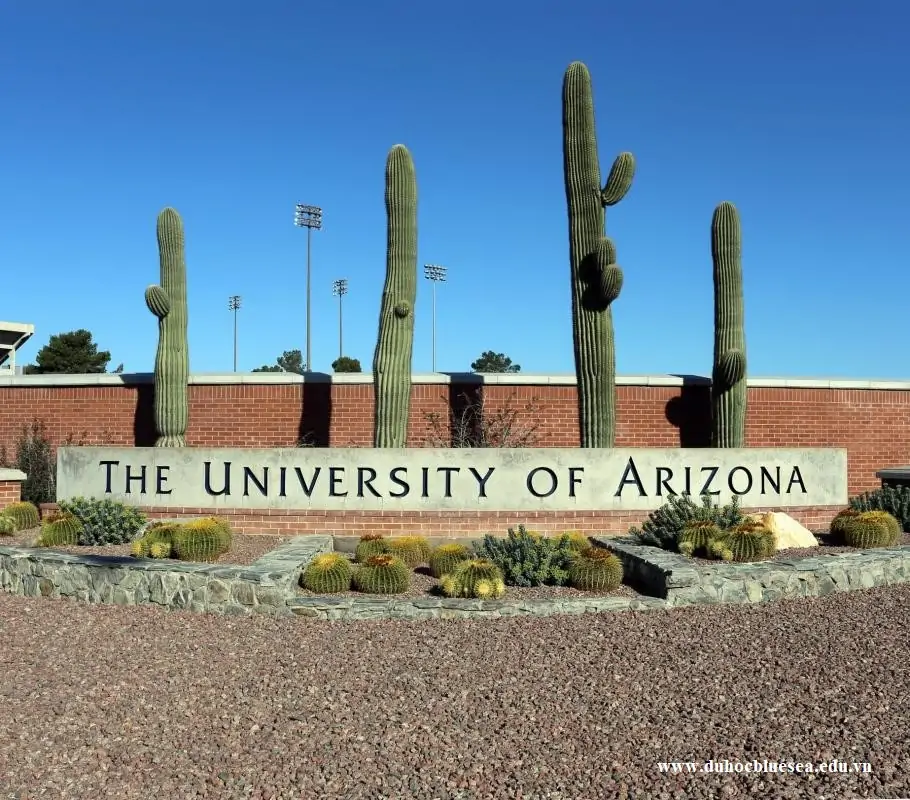 The University of Arizona (UA)