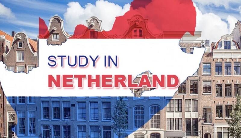 Đáp ứng điều kiện học thuật khi du học ngành y tại Hà Lan