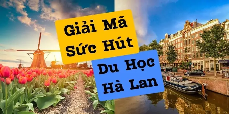 Hà Lan nơi có nền giáo dục được đánh giá cao