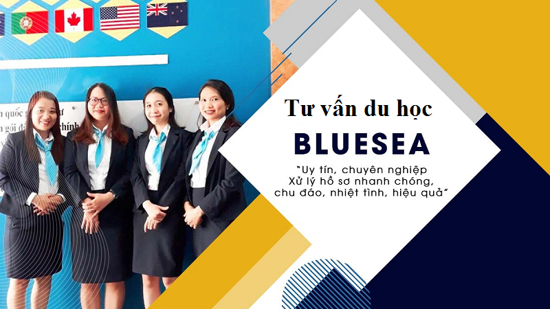 Du học BlueSea sở hữu đội ngũ tư vấn chuyên nghiệp