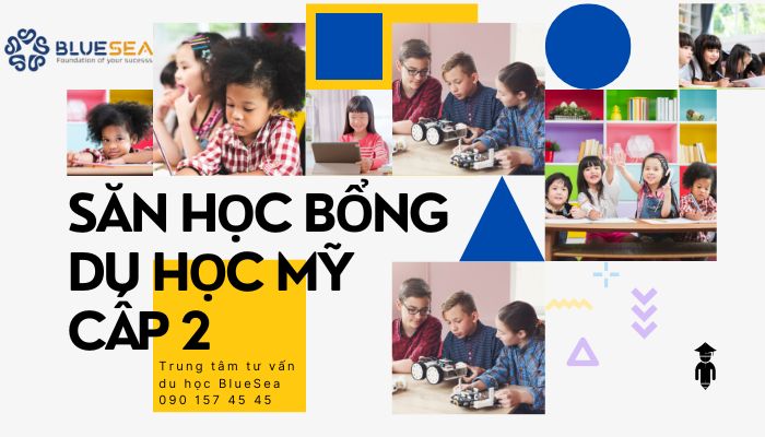 Cách săn học bổng du học Mỹ cấp 2