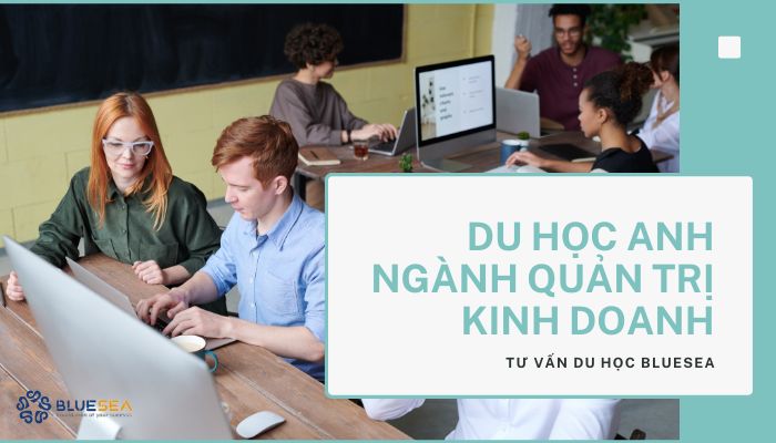 Du học Anh ngành quản trị kinh doanh