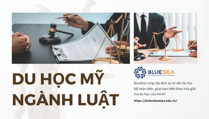 Du học Mỹ ngành Luật