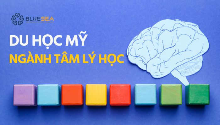 Du học Mỹ ngành Tâm lý học