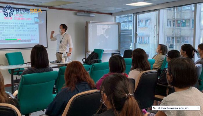 Học cao đẳng, đại học