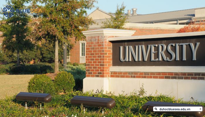 Những tiêu chí chọn trường phù hợp khi du học Mỹ