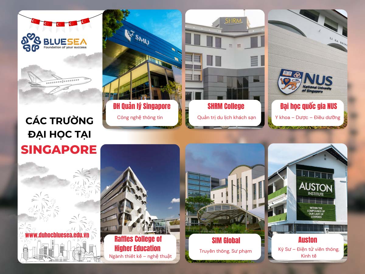 Các trường đại học ở Singapore