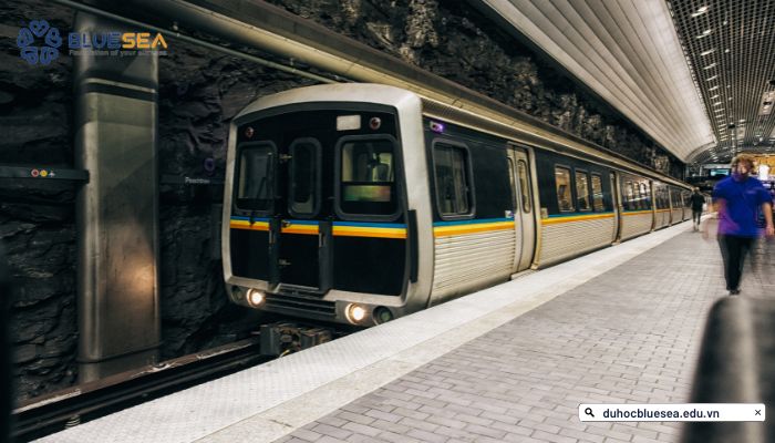 Lựa chọn phương tiện đi lại khi du học Mỹ