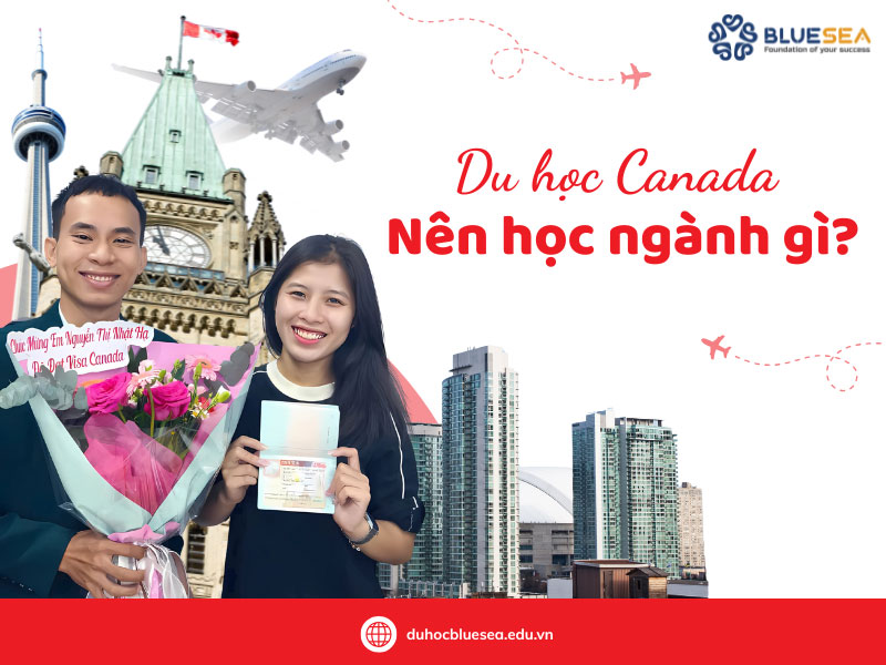 Du học Canada nên học ngành gì