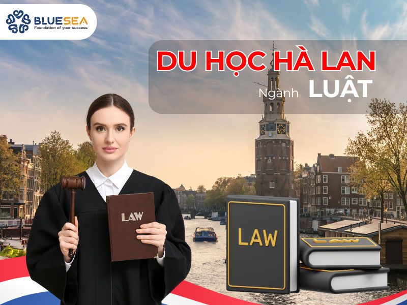 Du học Hà Lan ngành luật