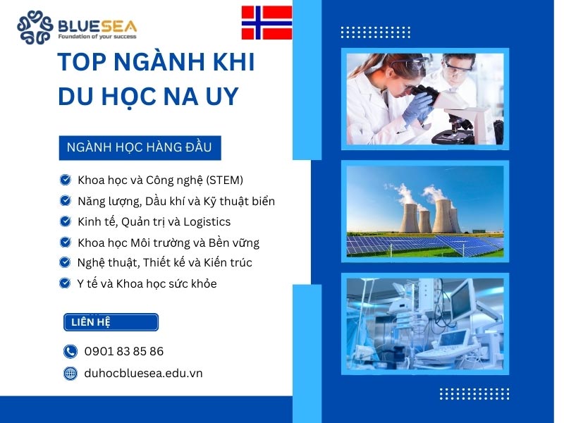 Những ngành nên học khi du học Na Uy