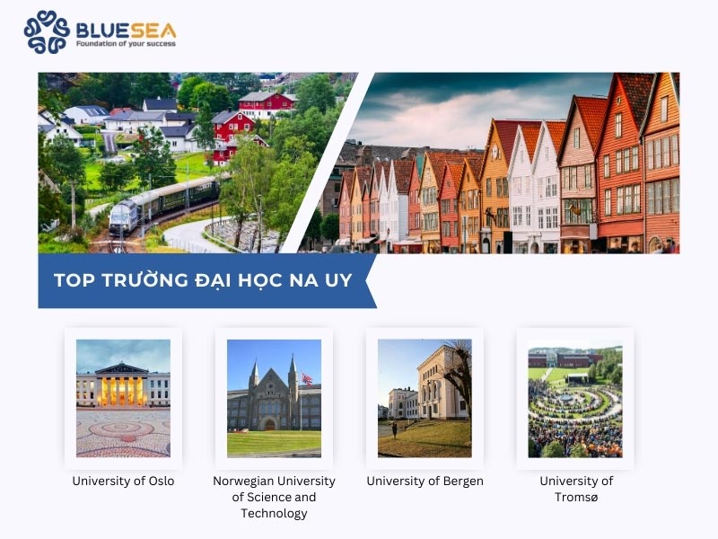Top những trường đại học tại Na Uy