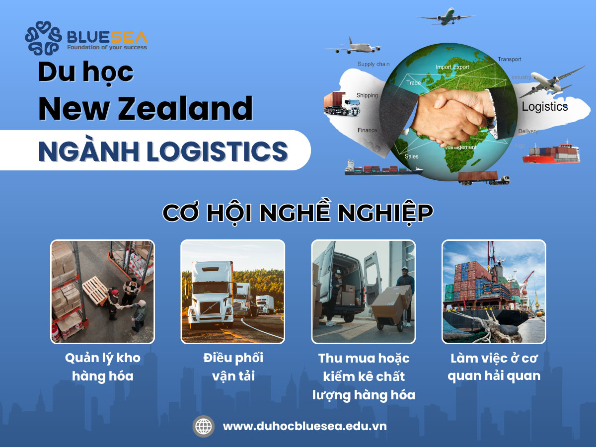 Cơ hội nghề nghiệp sau khi tốt nghiệp ngành Logistics tại New Zealand