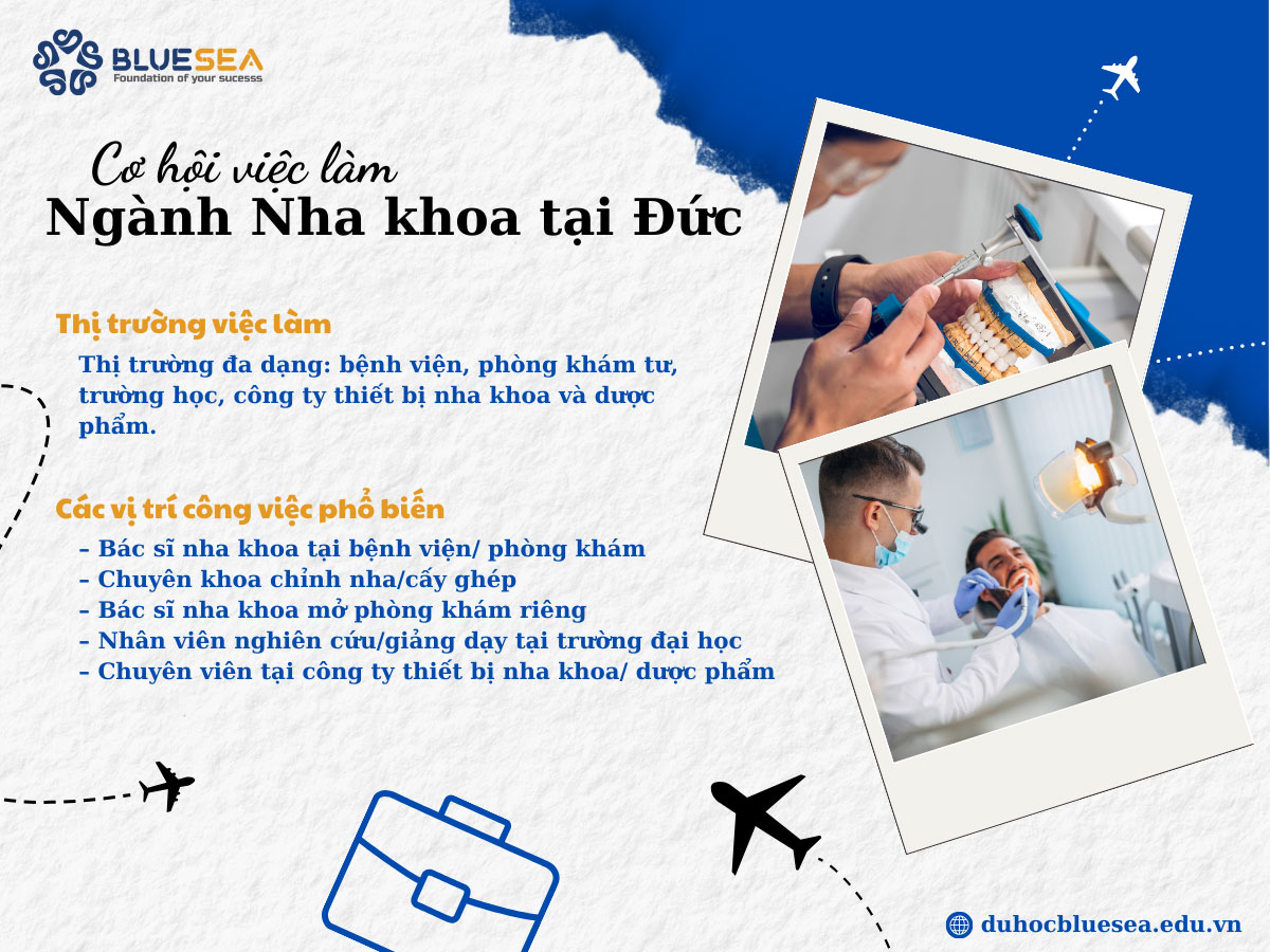 Cơ hội việc làm ngành Nha khoa tại Đức