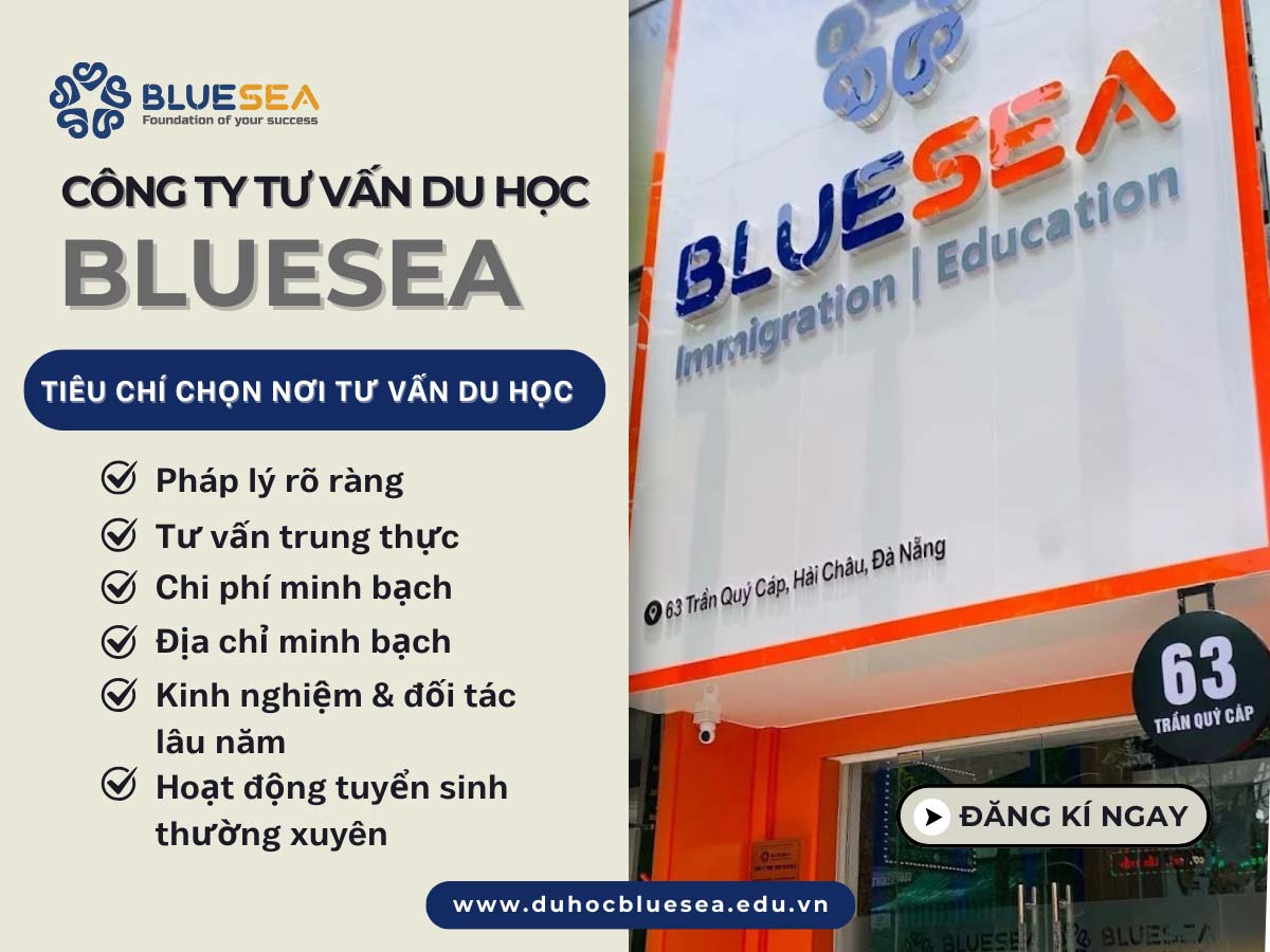 Tư vấn du học BLUESEA