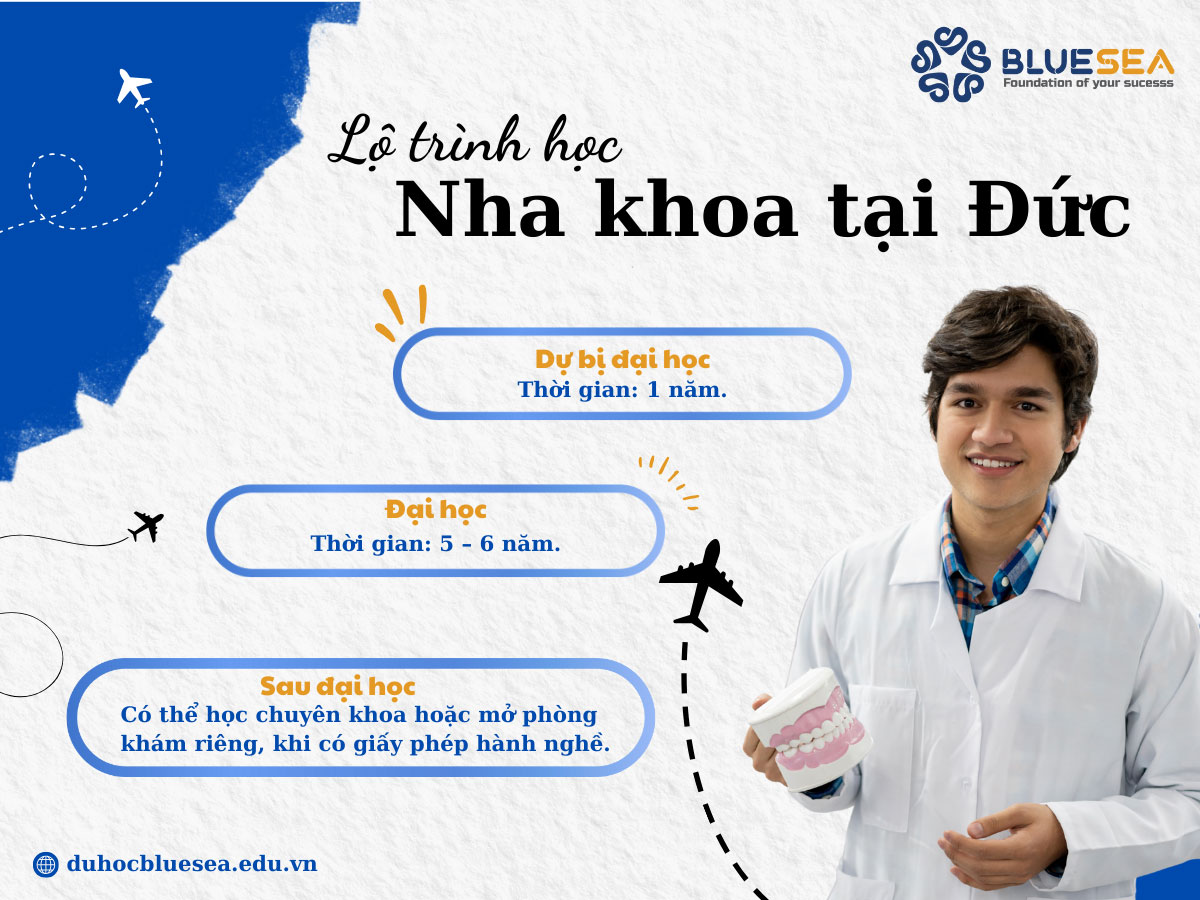Lộ trình học Nha khoa tại Đức