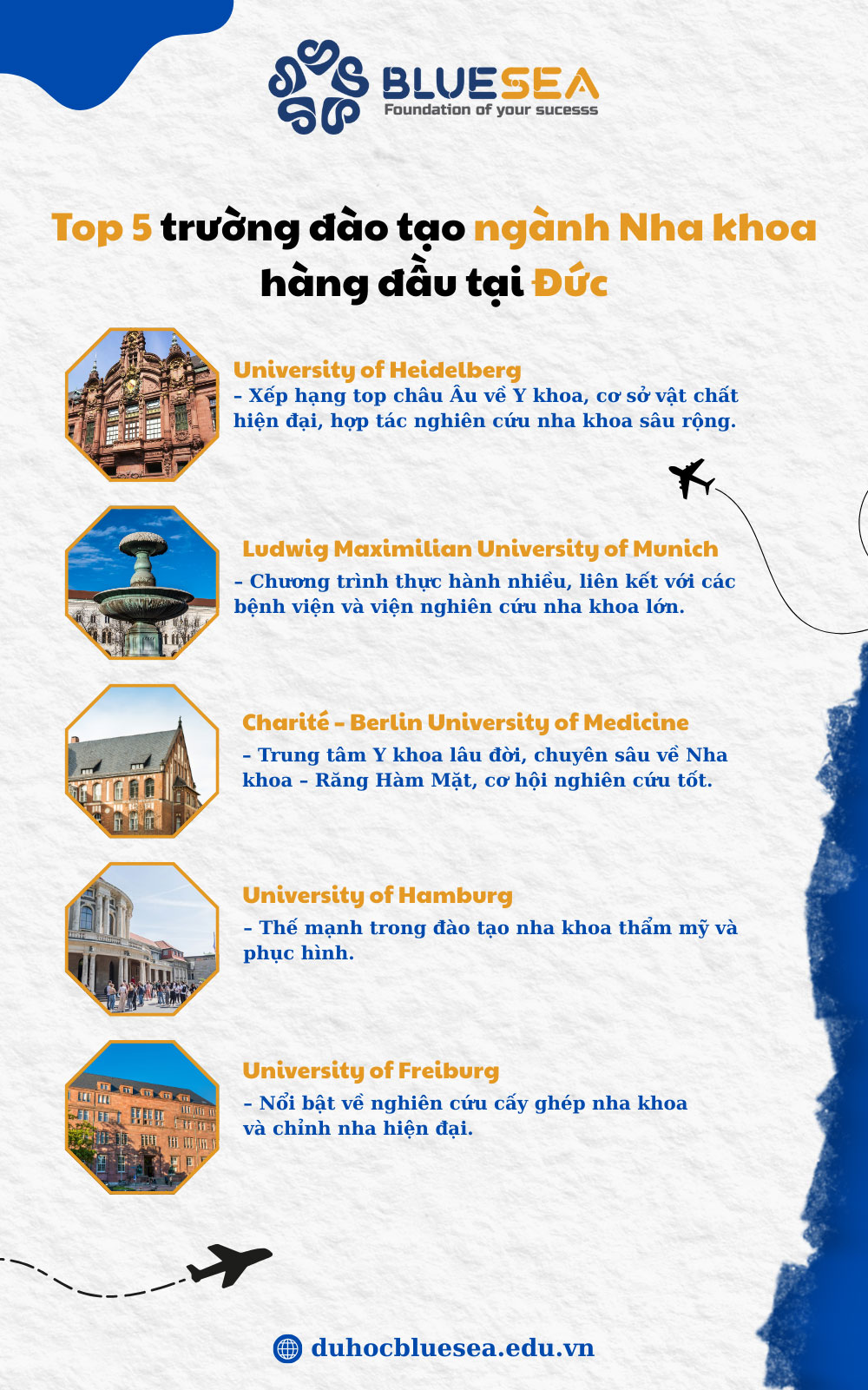 Top 5 trường đào tạo ngành Nha khoa hàng đầu tại Đức