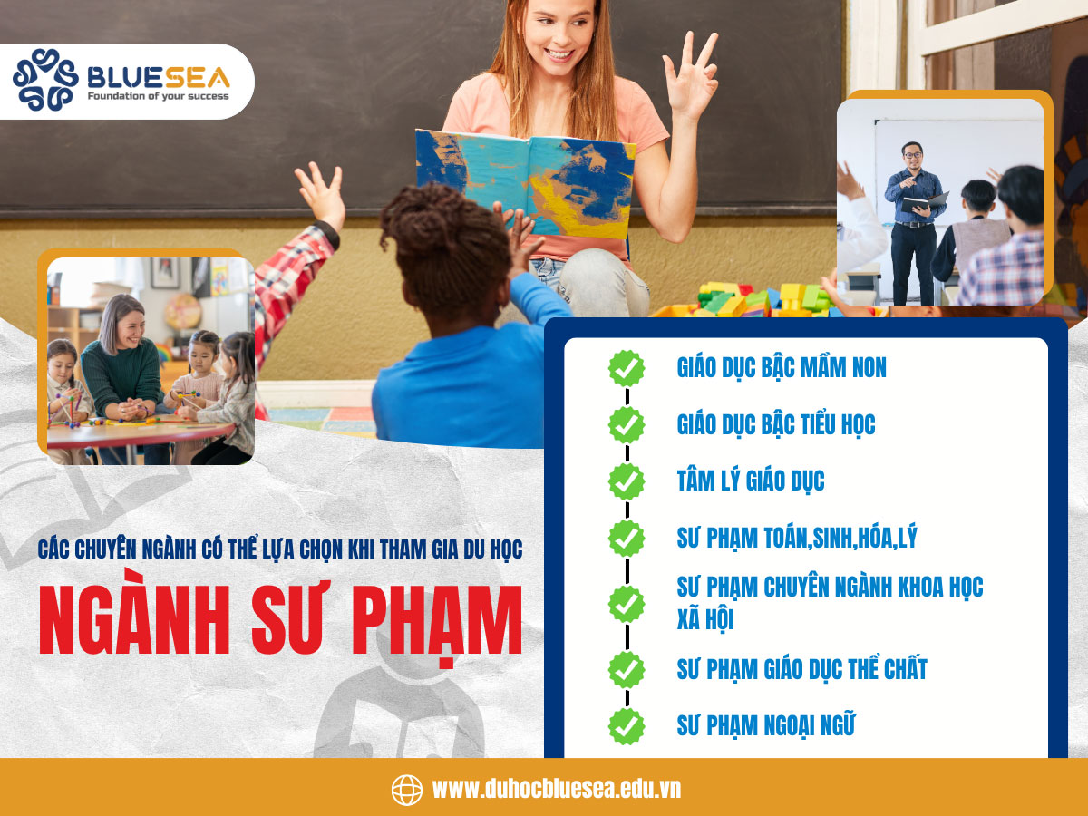 Các chuyên ngành có thể lựa chọn khi tham gia du học ngành sư phạm