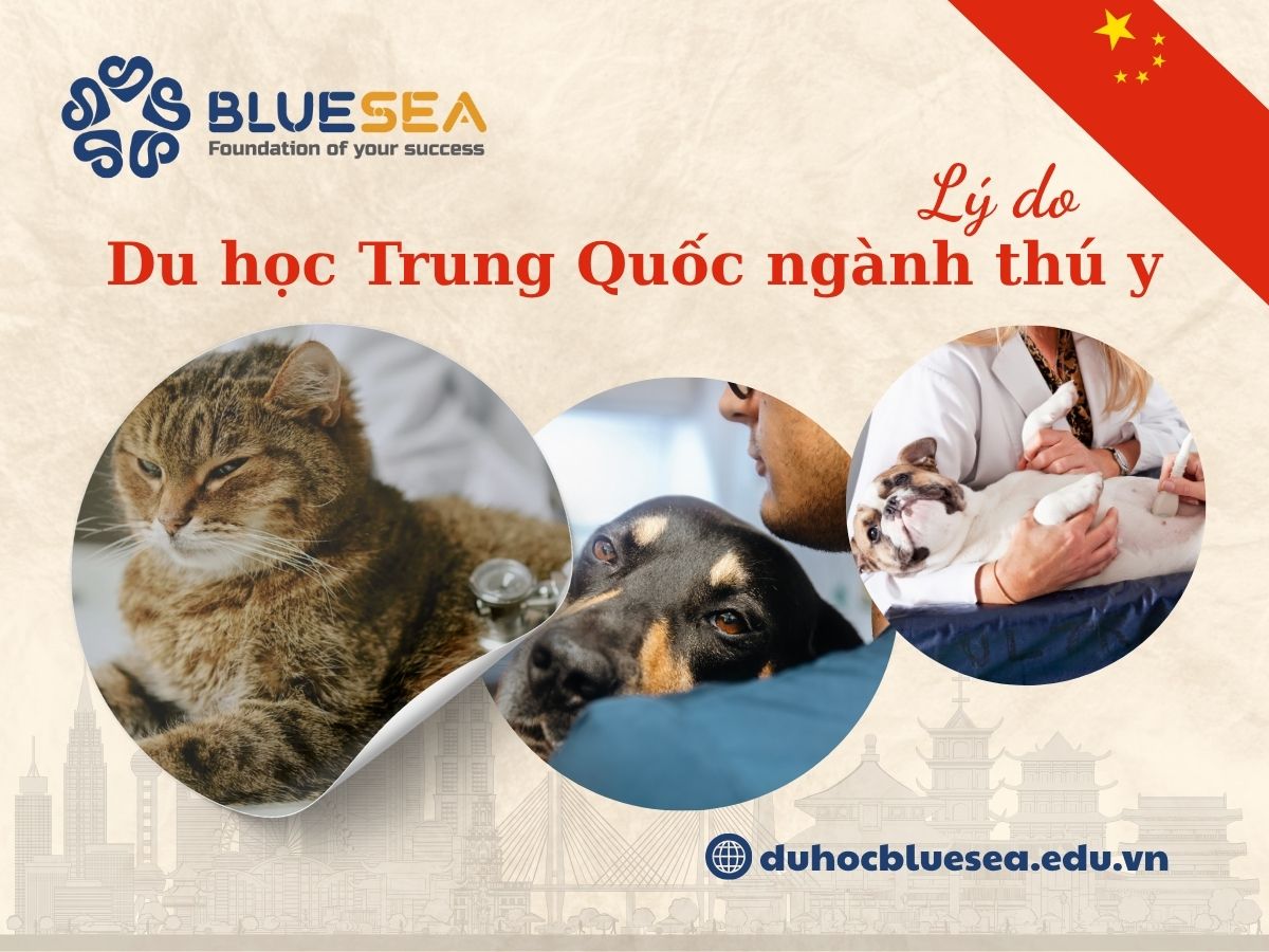 Lý do du học Trung Quốc ngành thú y