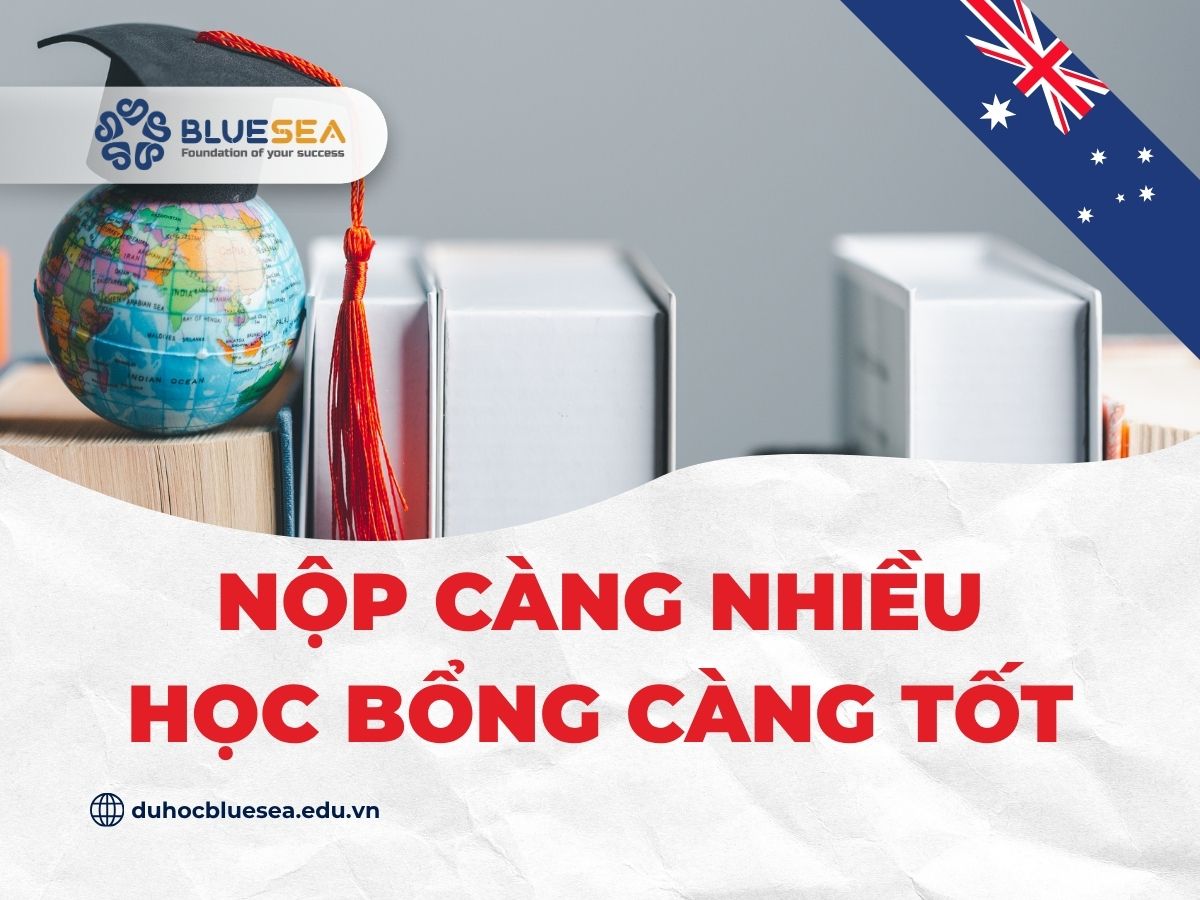 Nếu có thể bạn nên nộp càng nhiều học bổng càng tốt
